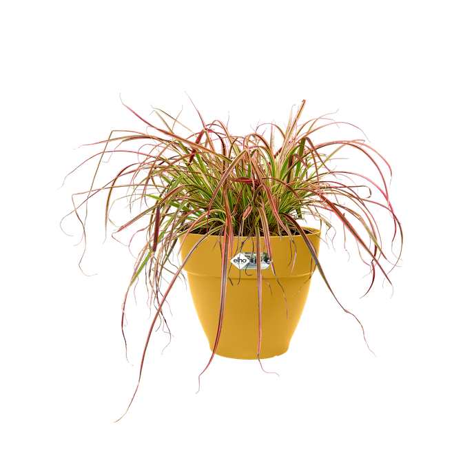 vibiacampana round 30cm honey yellow